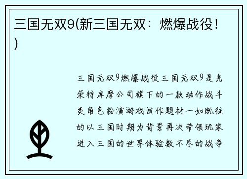 三国无双9(新三国无双：燃爆战役！)