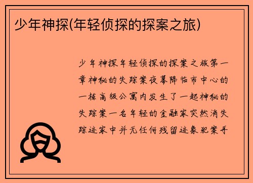 少年神探(年轻侦探的探案之旅)